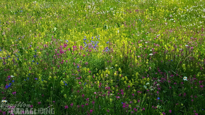 FY26.21-Frankreich-Ceillac-169