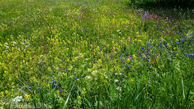 FY26.21-Frankreich-Ceillac-170