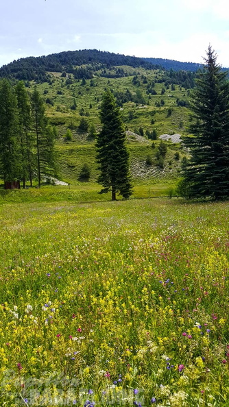 FY26.21-Frankreich-Ceillac-171