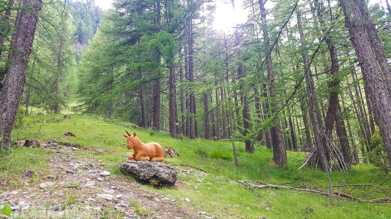 FY26.21-Frankreich-Ceillac-184