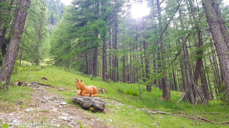 FY26.21-Frankreich-Ceillac-187