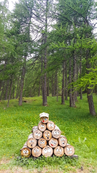 FY26.21-Frankreich-Ceillac-200