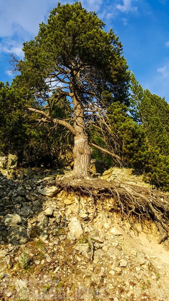 FY26.21-Frankreich-Ceillac-353