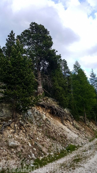 FY26.21-Frankreich-Ceillac-365