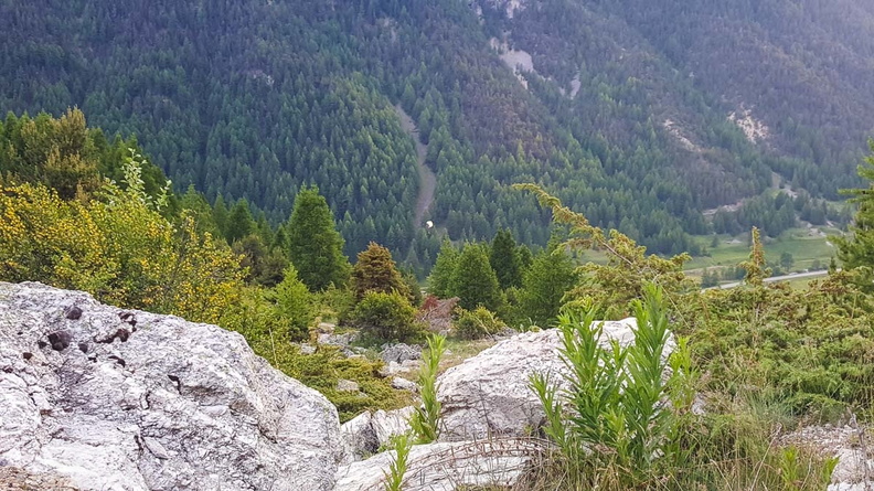 FY26.21-Frankreich-Ceillac-393