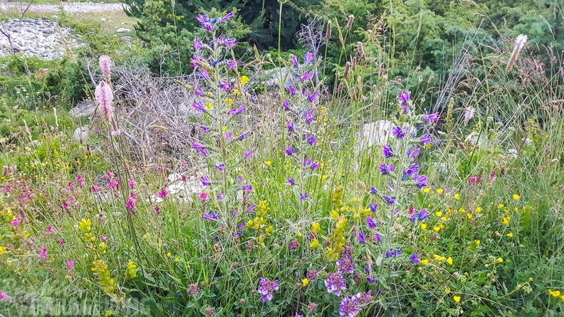 FY26.21-Frankreich-Ceillac-446