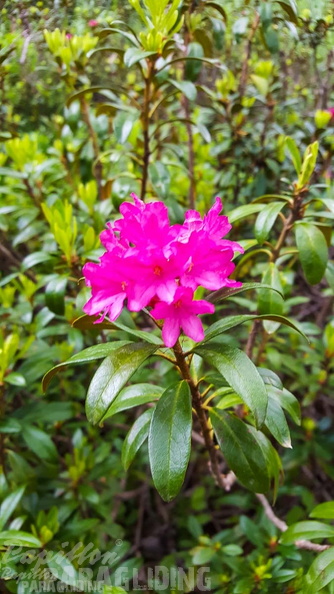 FY26.21-Frankreich-Ceillac-465