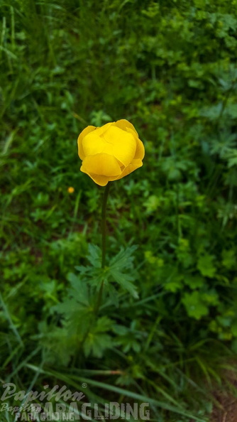 FY26.21-Frankreich-Ceillac-467