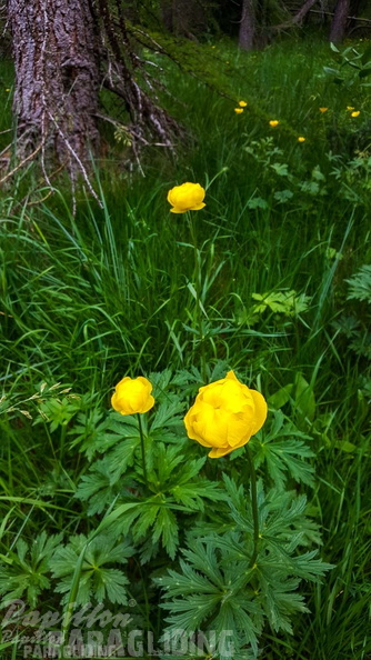 FY26.21-Frankreich-Ceillac-468