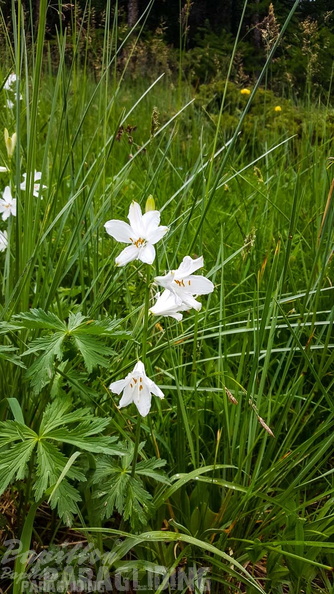 FY26.21-Frankreich-Ceillac-469