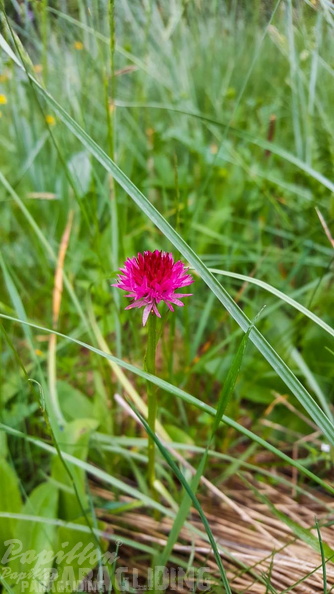 FY26.21-Frankreich-Ceillac-471