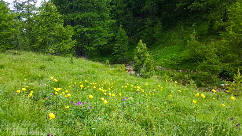 FY26.21-Frankreich-Ceillac-474