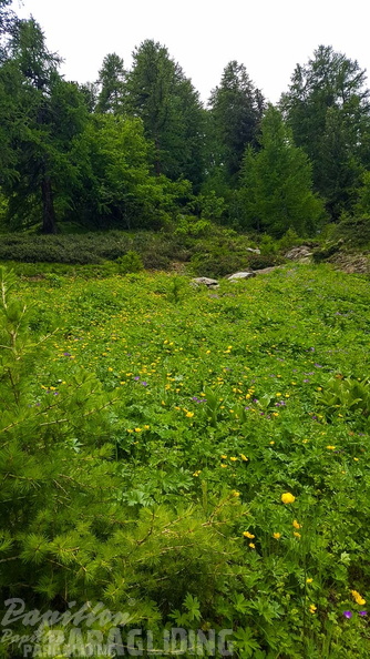 FY26.21-Frankreich-Ceillac-479