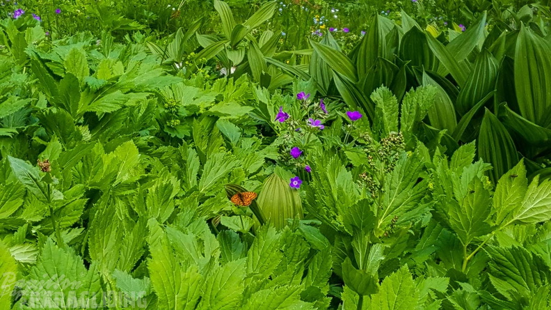 FY26.21-Frankreich-Ceillac-480