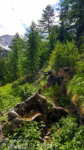 FY26.21-Frankreich-Ceillac-481