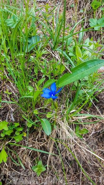 FY26.21-Frankreich-Ceillac-493