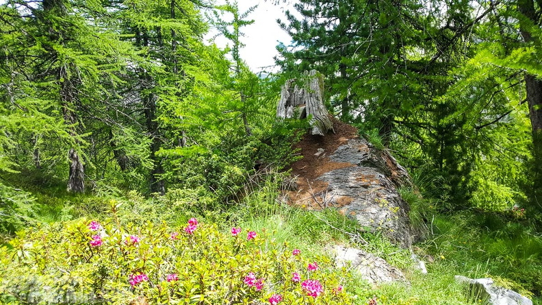 FY26.21-Frankreich-Ceillac-494