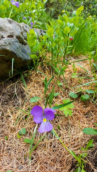 FY26.21-Frankreich-Ceillac-495