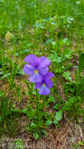 FY26.21-Frankreich-Ceillac-496