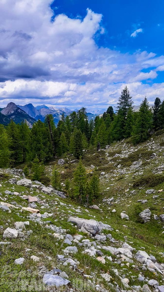 FY26.21-Frankreich-Ceillac-514