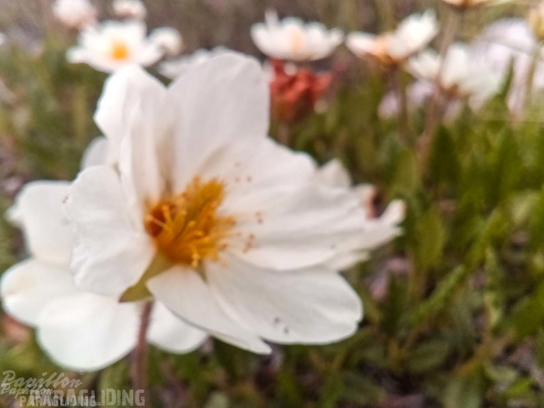 FY26.21-Frankreich-Ceillac-519