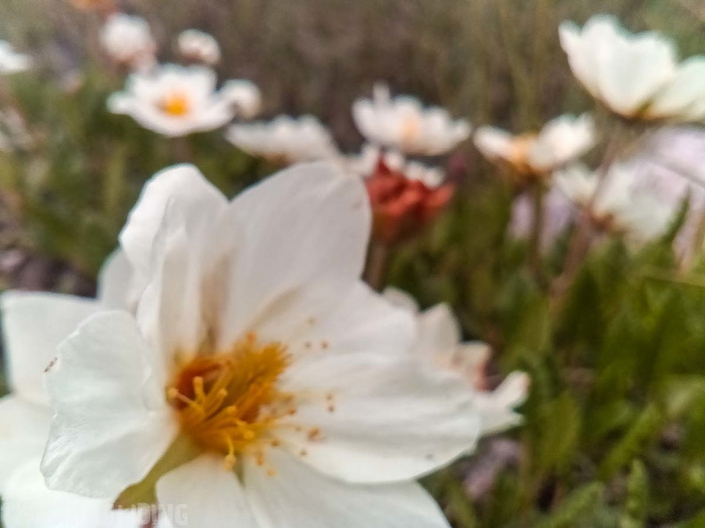 FY26.21-Frankreich-Ceillac-520