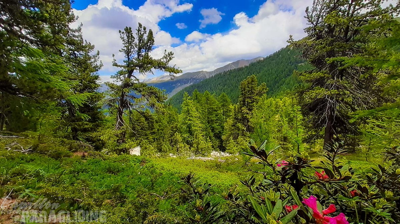 FY26.21-Frankreich-Ceillac-522