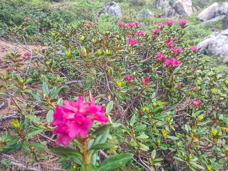 FY26.21-Frankreich-Ceillac-523