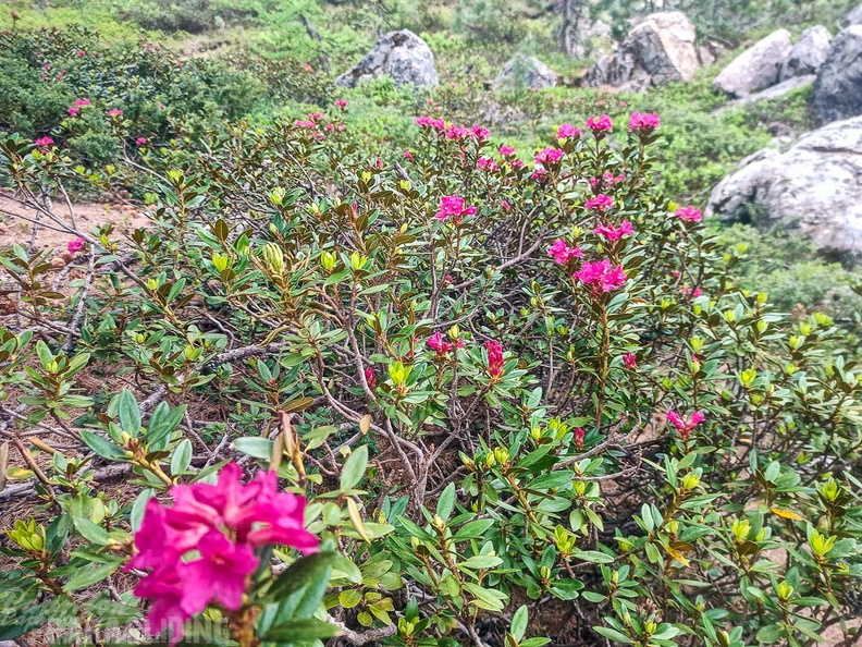 FY26.21-Frankreich-Ceillac-524