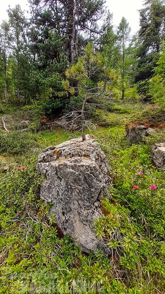 FY26.21-Frankreich-Ceillac-525