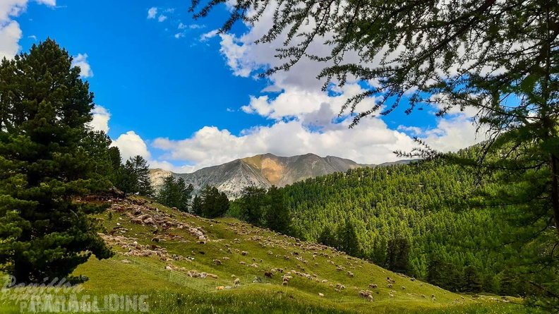 FY26.21-Frankreich-Ceillac-528