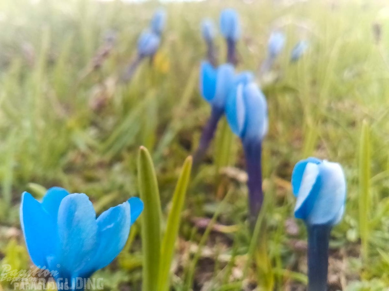 FY26.21-Frankreich-Ceillac-533