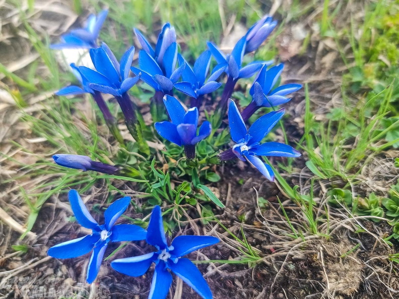 FY26.21-Frankreich-Ceillac-534