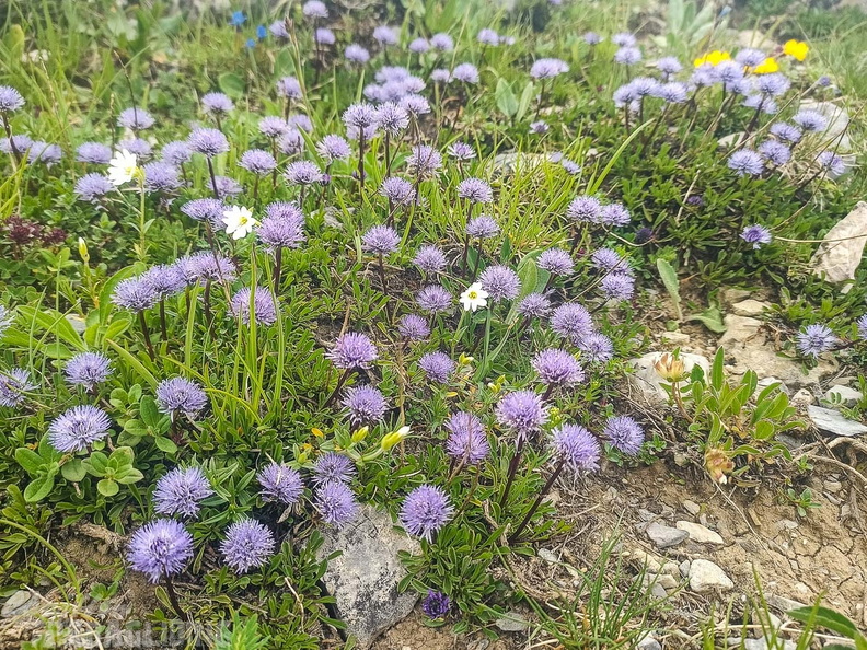 FY26.21-Frankreich-Ceillac-536