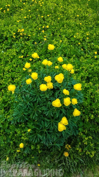 FY26.21-Frankreich-Ceillac-541