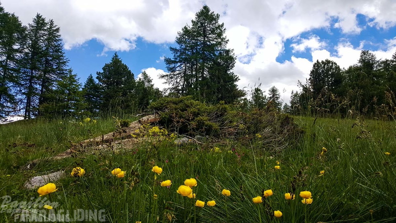 FY26.21-Frankreich-Ceillac-543