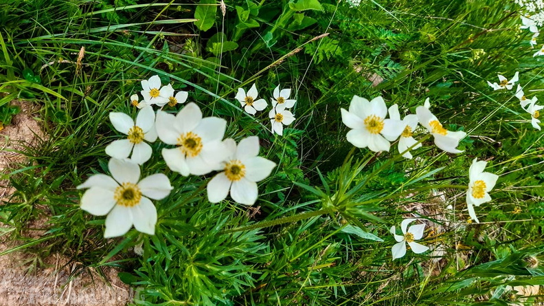 FY26.21-Frankreich-Ceillac-545