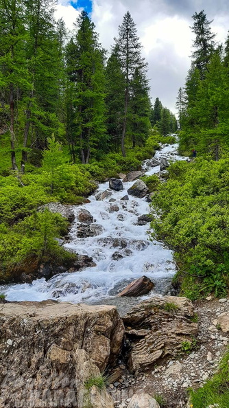 FY26.21-Frankreich-Ceillac-553