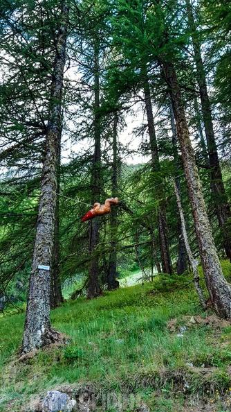 FY26.21-Frankreich-Ceillac-562