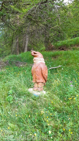 FY26.21-Frankreich-Ceillac-567