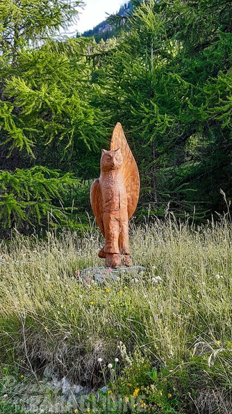 FY26.21-Frankreich-Ceillac-568