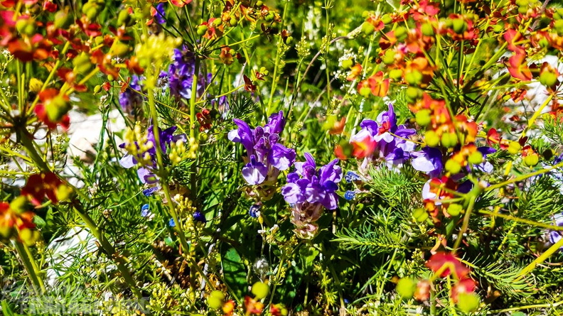 FY26.21-Frankreich-Ceillac-635