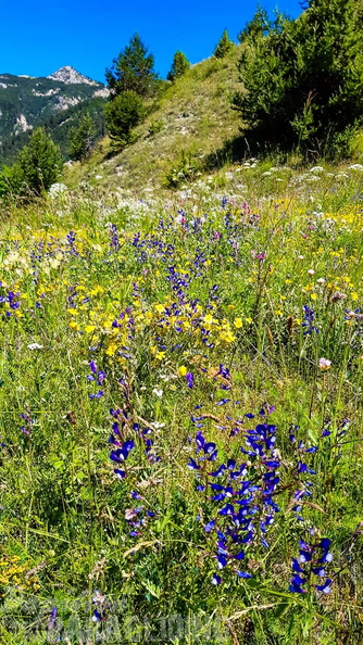 FY26.21-Frankreich-Ceillac-640