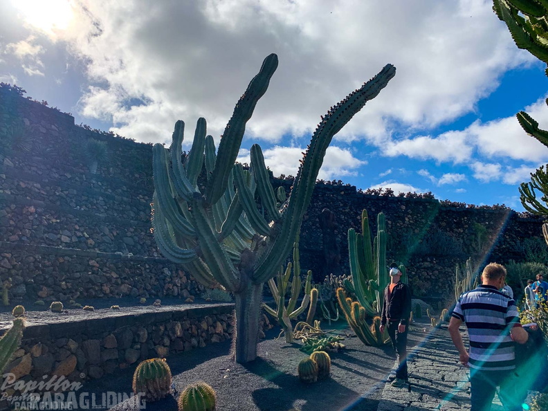 Lanzarote-1.22-148