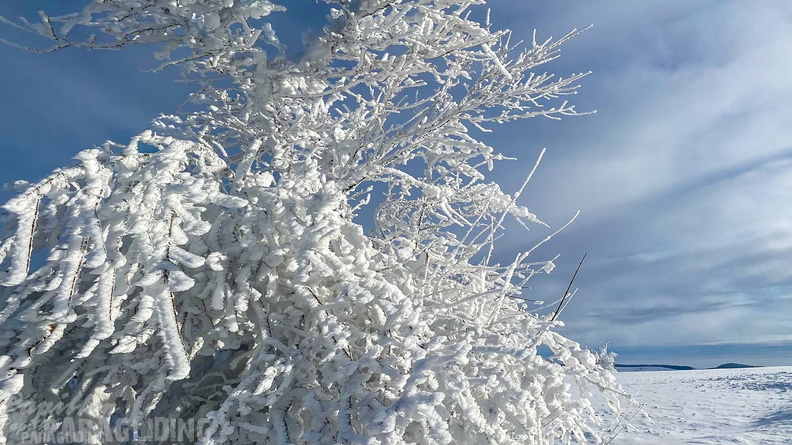 wasserkuppe-winter-2022-107