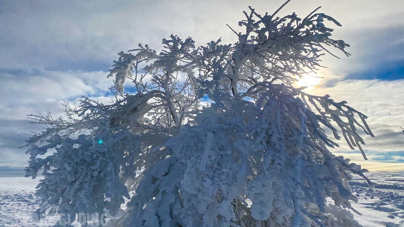 wasserkuppe-winter-2022-106