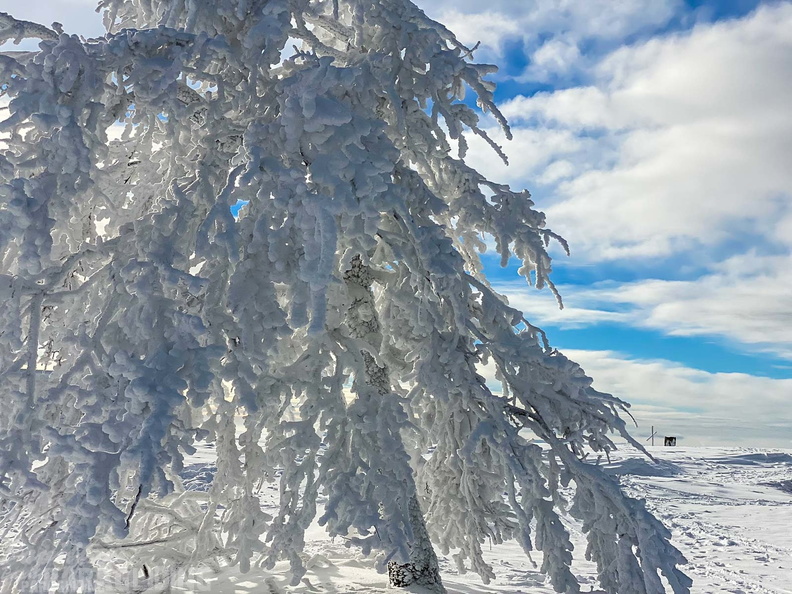 wasserkuppe-winter-2022-110