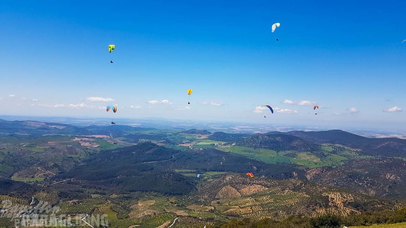 fa14.22-algodonales-106