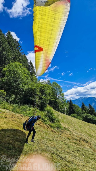 fk28.22-kaernten-flugsafari-papillon-104