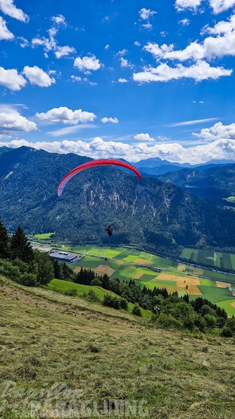 fk28.22-kaernten-flugsafari-papillon-129